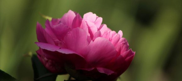 Casa de 7 divisões em Meidling, Austria N.º 68162 56