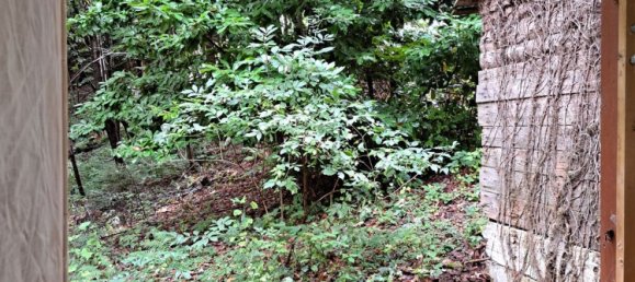 3 chambres Maison à Cosio Valtellino, Italy No. 359579 18