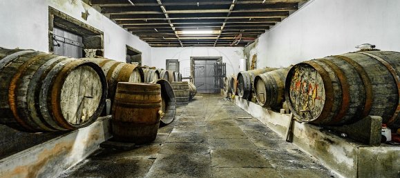 7 Schlafzimmer Haus in Santa Cruz da Graciosa, Portugal, Nr. 26931 30