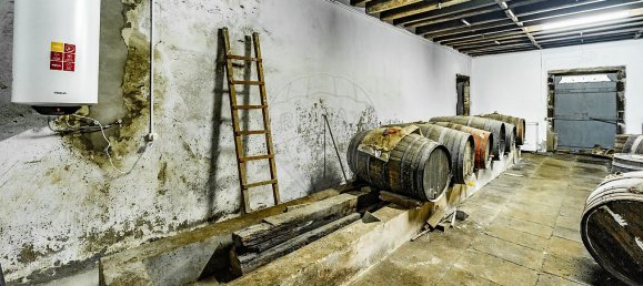 7 Schlafzimmer Haus in Santa Cruz da Graciosa, Portugal, Nr. 26931 31