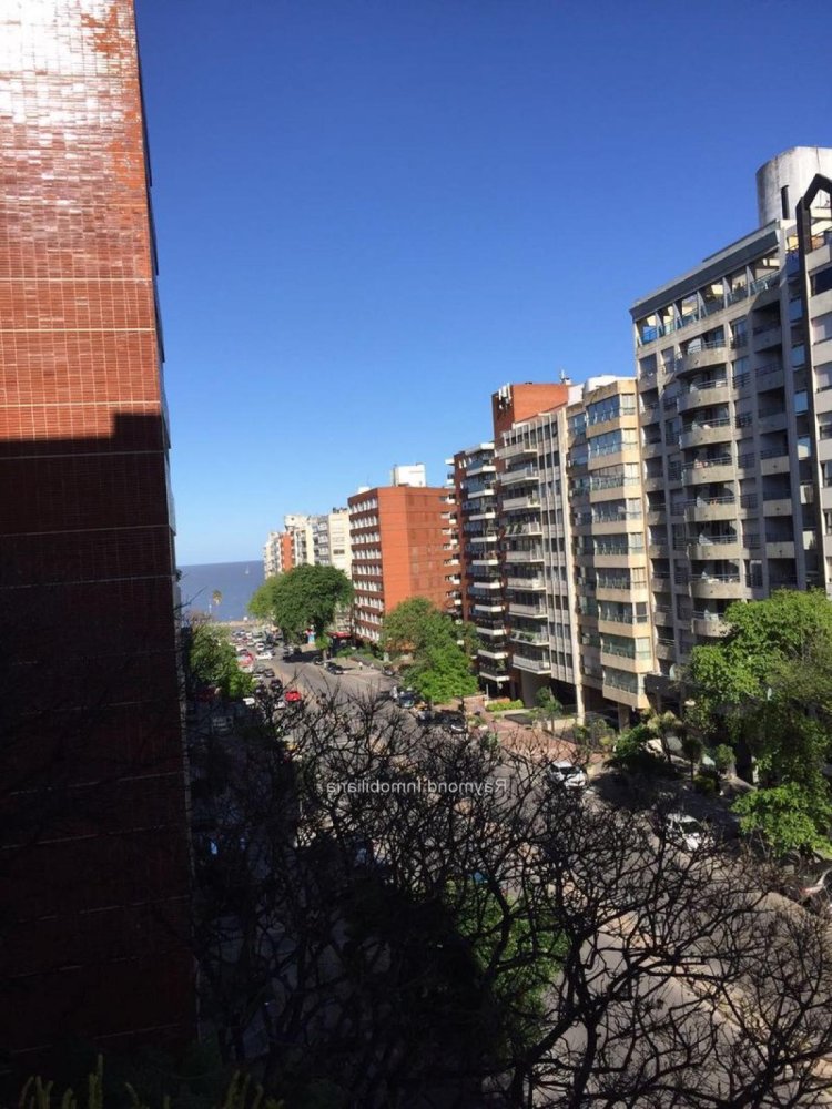 4 bedrooms Apartment in Montevideo, Uruguay No. 2259