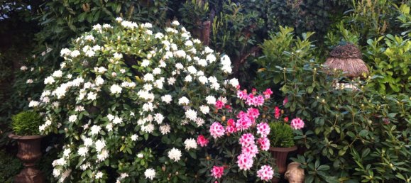 4-Zimmer Wohnung in Offenbach, Germany, Nr. 218056 7