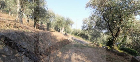 1-Zimmer Grundstück in Buti, Italy, Nr. 21329 15