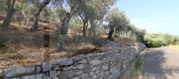 1-Zimmer Grundstück in Buti, Italy, Nr. 21329 6