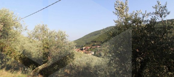 1-Zimmer Grundstück in Buti, Italy, Nr. 21329 10