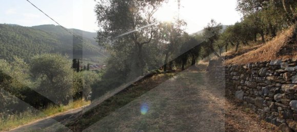 1-Zimmer Grundstück in Buti, Italy, Nr. 21329 5