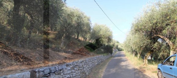 1-Zimmer Grundstück in Buti, Italy, Nr. 21329 18