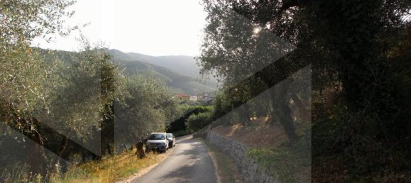 1-Zimmer Grundstück in Buti, Italy, Nr. 21329 4