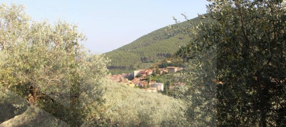 1-Zimmer Grundstück in Buti, Italy, Nr. 21329 11