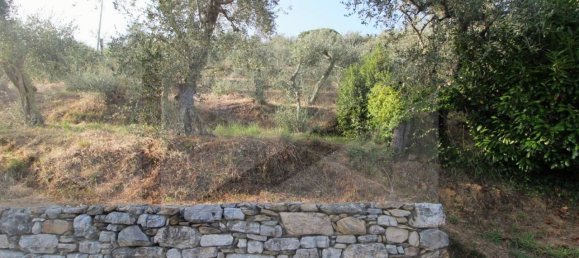 1-Zimmer Grundstück in Buti, Italy, Nr. 21329 8