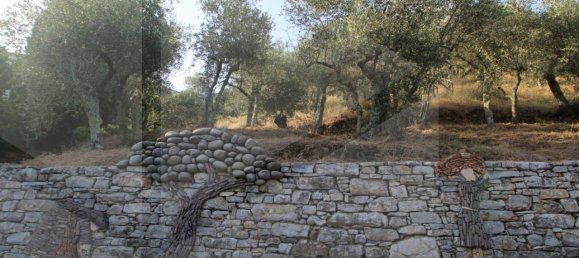 1-Zimmer Grundstück in Buti, Italy, Nr. 21329 2