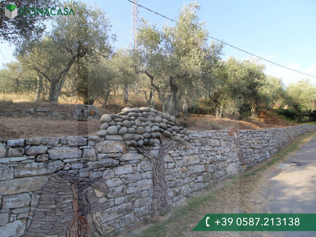 1-Zimmer Grundstück in Buti, Italy, Nr. 21329