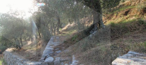 1-Zimmer Grundstück in Buti, Italy, Nr. 21329 12