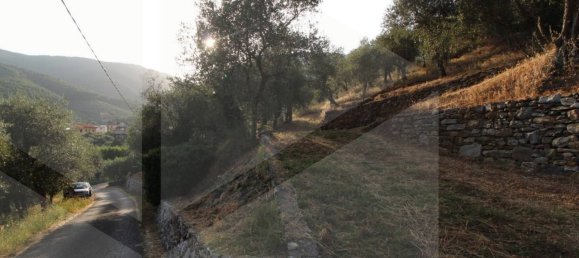 1-Zimmer Grundstück in Buti, Italy, Nr. 21329 17