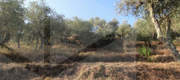 1-Zimmer Grundstück in Buti, Italy, Nr. 21329 14