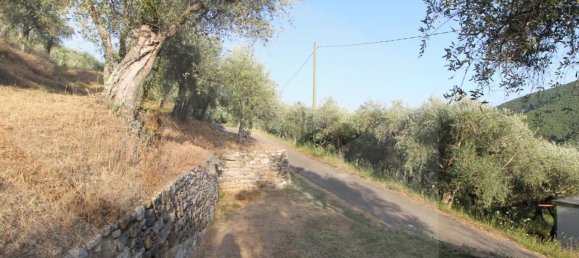 1-Zimmer Grundstück in Buti, Italy, Nr. 21329 13