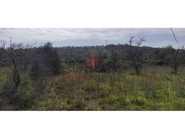 2040m² Land in Silves, Portugal No. 244579