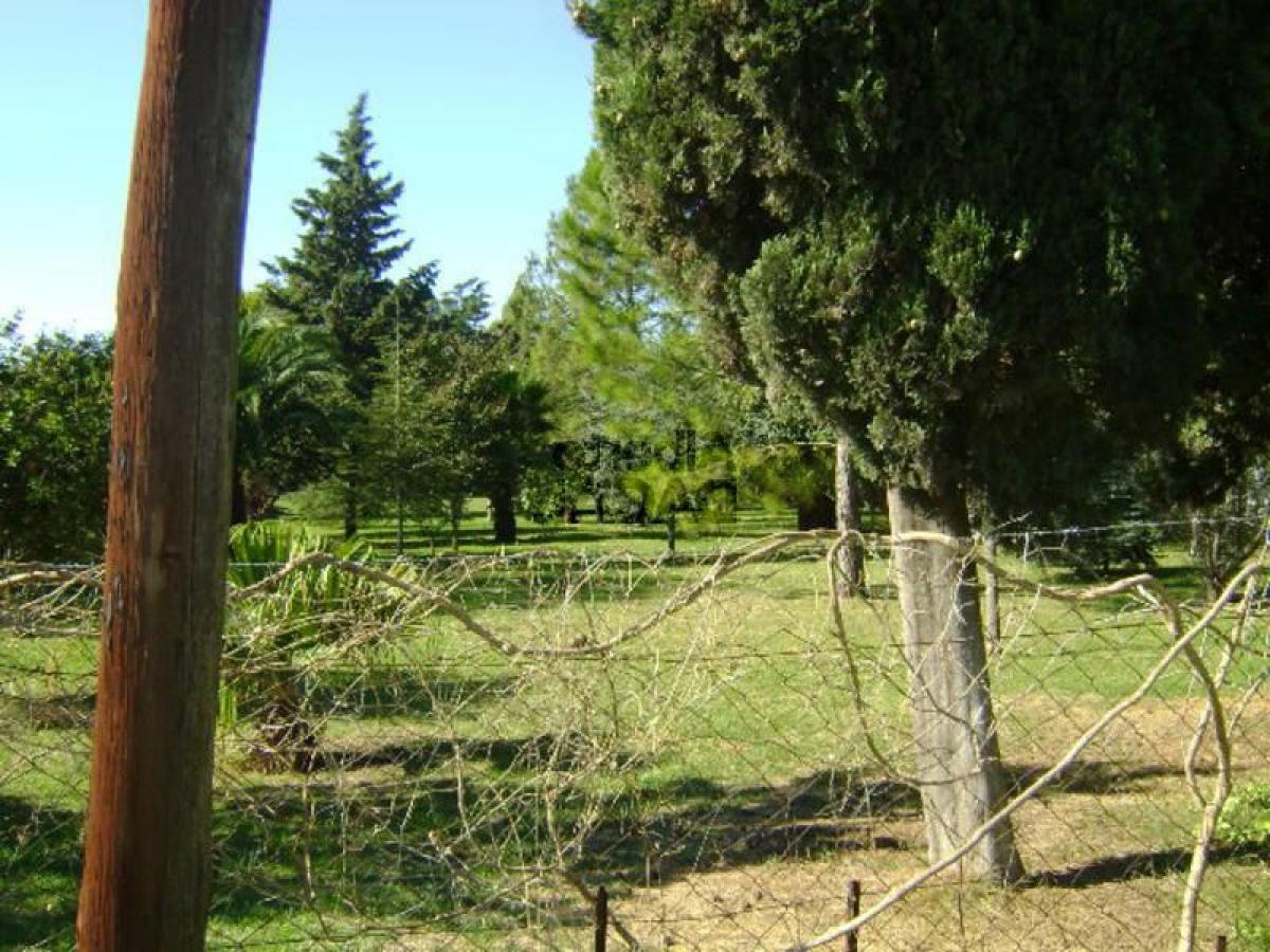  Land in Campo Creado, Argentina No. 33849