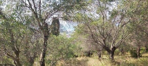 4500m² Hotel in Corfu, Greece No. 3557 7