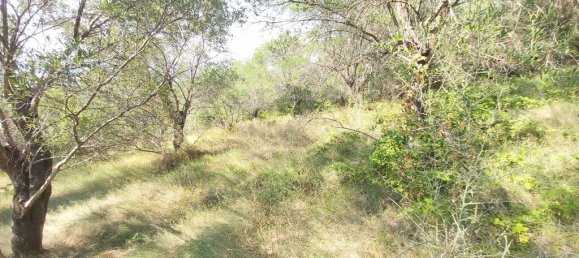 4500m² Hotel in Corfu, Greece No. 3557 8