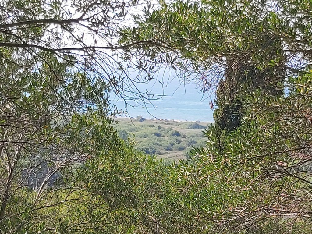 4500m² Hotel in Corfu, Greece No. 3557