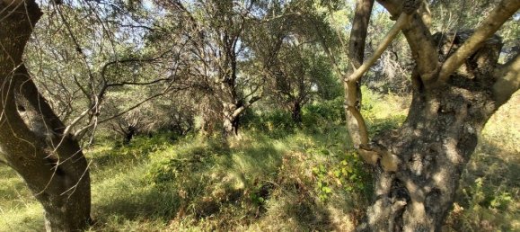 4500m² Hotel in Corfu, Greece No. 3557 9