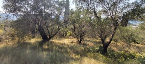 4500m² Hotel in Corfu, Greece No. 3557 6