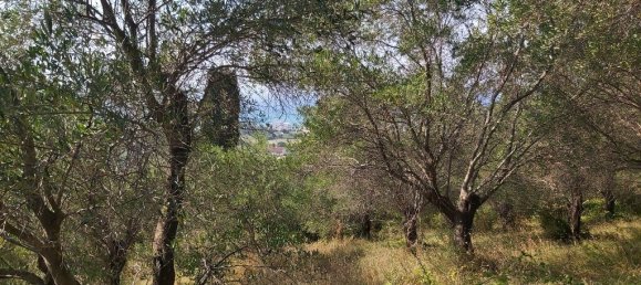 4500m² Hotel in Corfu, Greece No. 3557 5