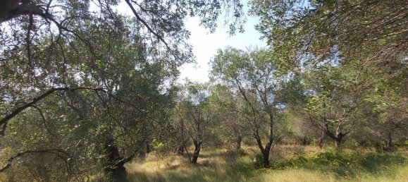 4500m² Hotel in Corfu, Greece No. 3557 4