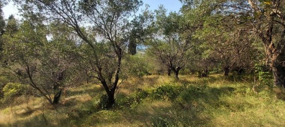 4500m² Hotel in Corfu, Greece No. 3557 3