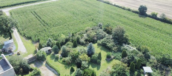 Land in Nordsachsen, Germany No. 182474 19