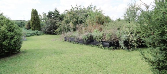 Land in Nordsachsen, Germany No. 182474 10