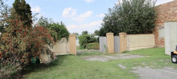 Land in Nordsachsen, Germany No. 182474 4