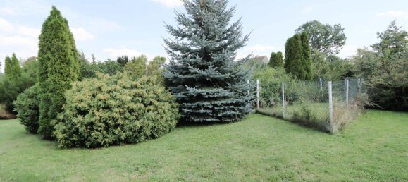 Land in Nordsachsen, Germany No. 182474 8