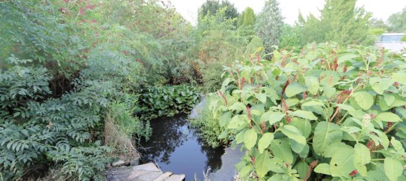 Land in Nordsachsen, Germany No. 182474 7