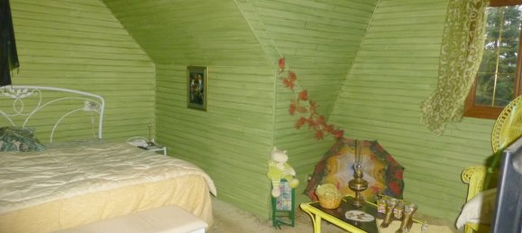 4 chambres Maison à Châteauneuf-sur-Loire, France No. 101012 15