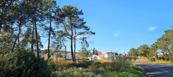 Grundstück in Caldas da Rainha, Portugal 8715m², Nr. 112837 7