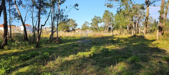 Grundstück in Caldas da Rainha, Portugal 8715m², Nr. 112837 13