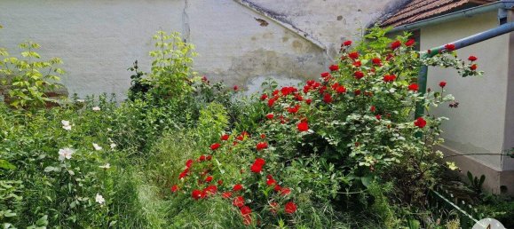 Дом с 3 комнатами в Хаугсдорф, Австрия № 168656 14