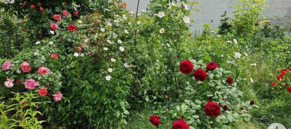 Дом с 3 комнатами в Хаугсдорф, Австрия № 168656 17