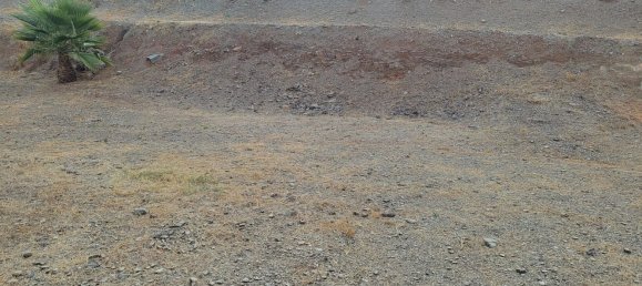 Terrain à Benajarafe, Spain No. 166183 6