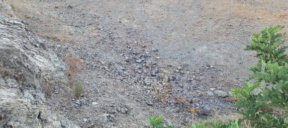 Terrain à Benajarafe, Spain No. 166183 9