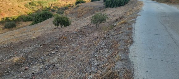 Terrain à Benajarafe, Spain No. 166183 4