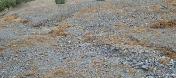 Terrain à Benajarafe, Spain No. 166183 3