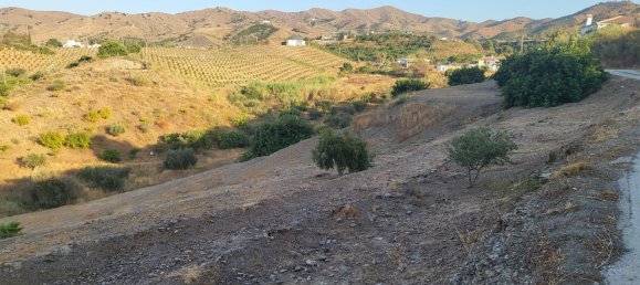 Terrain à Benajarafe, Spain No. 166183 11