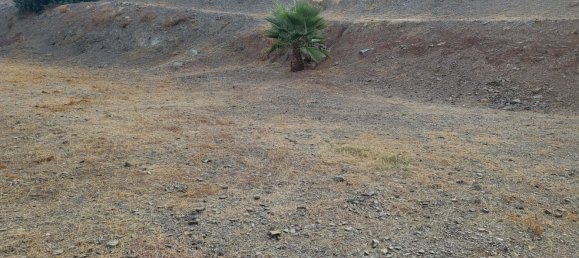 Terrain à Benajarafe, Spain No. 166183 7