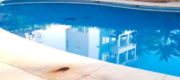 2 bedrooms Apartment in Benalmadena, Spain No. 147776 27