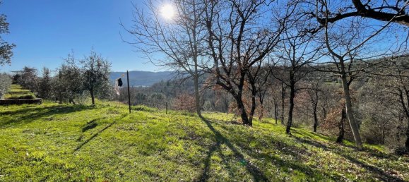 10-salle Villa à Civitella in Val di Chiana, Italy No. 70385 7
