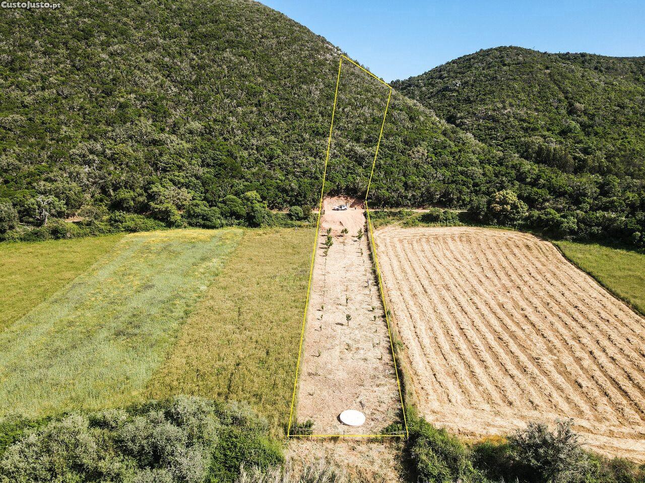 Grundstück in Bordeira, Portugal 3500m², Nr. 247416