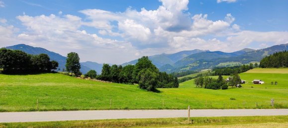 Земельный участок 12350м² в Занкт Петер ам Каммерсберг, Австрия № 131297 15